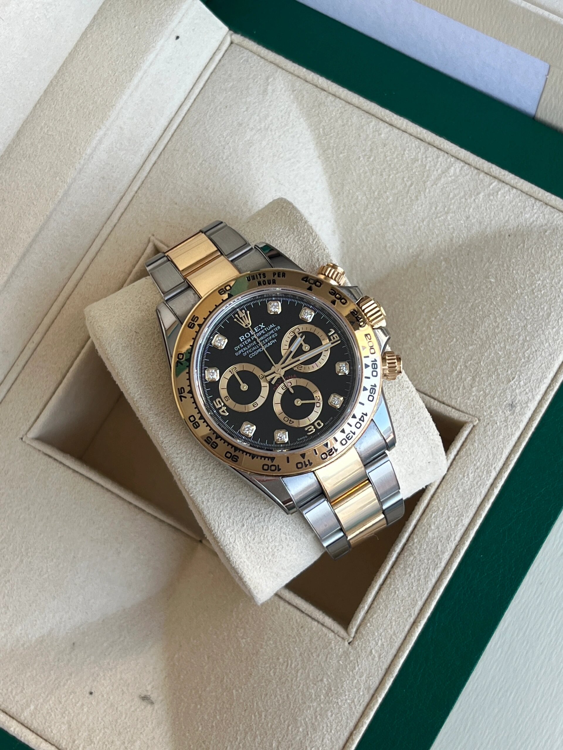 劳力士116503金眼睛 间金黑钻迪通拿 又是上新的一天!