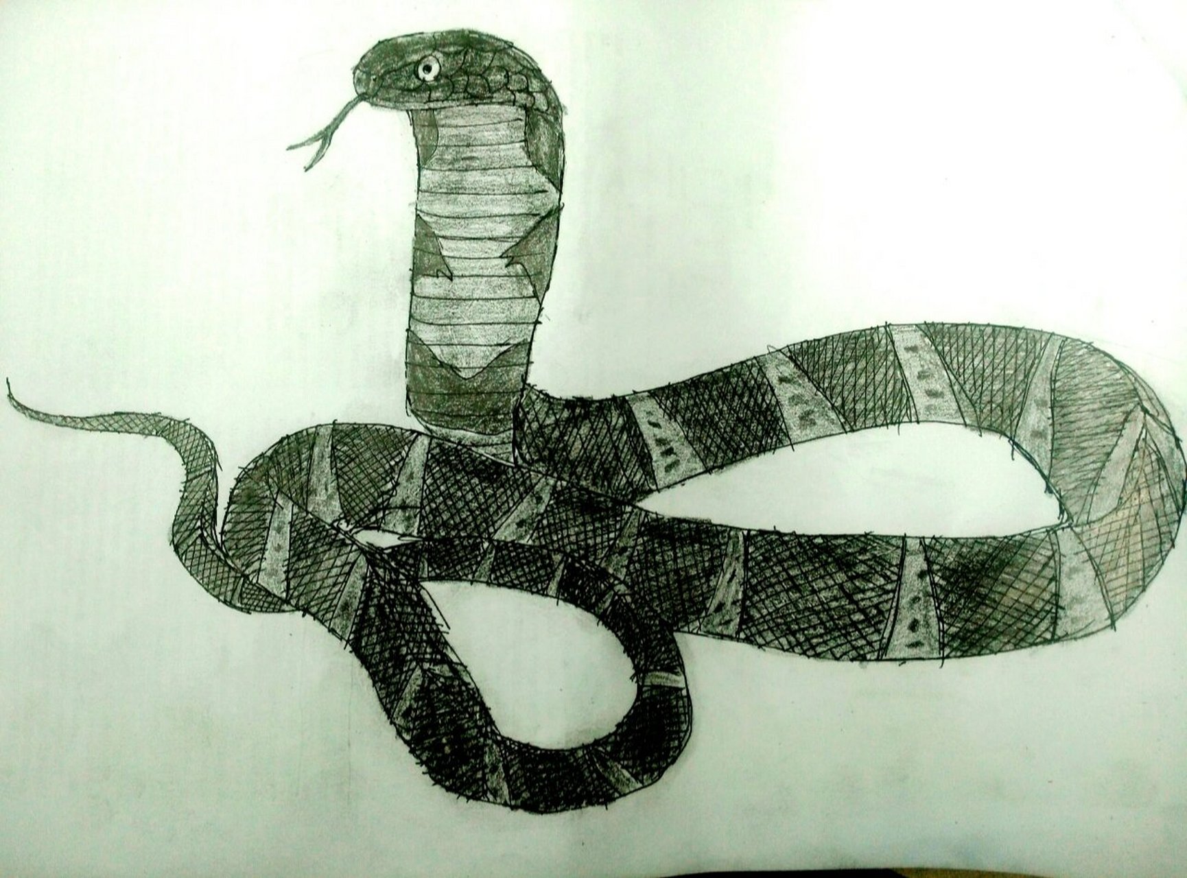 画一条眼镜王蛇吧(蛇恐者慎入),并赋打油 体况蜿蜒无指爪,披鳞贯甲甚