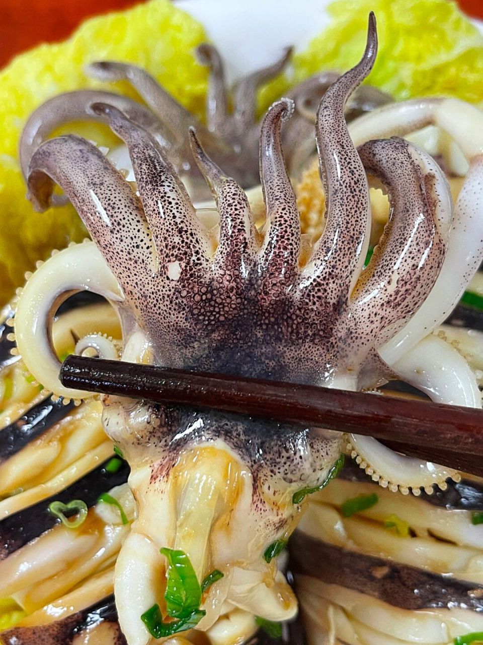 73原料:墨鱼,葱花,白菜 73做法: 11566墨鱼去除内脏 215