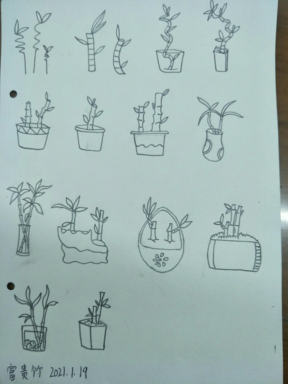 简笔画富贵竹,坚持打卡 #绘画