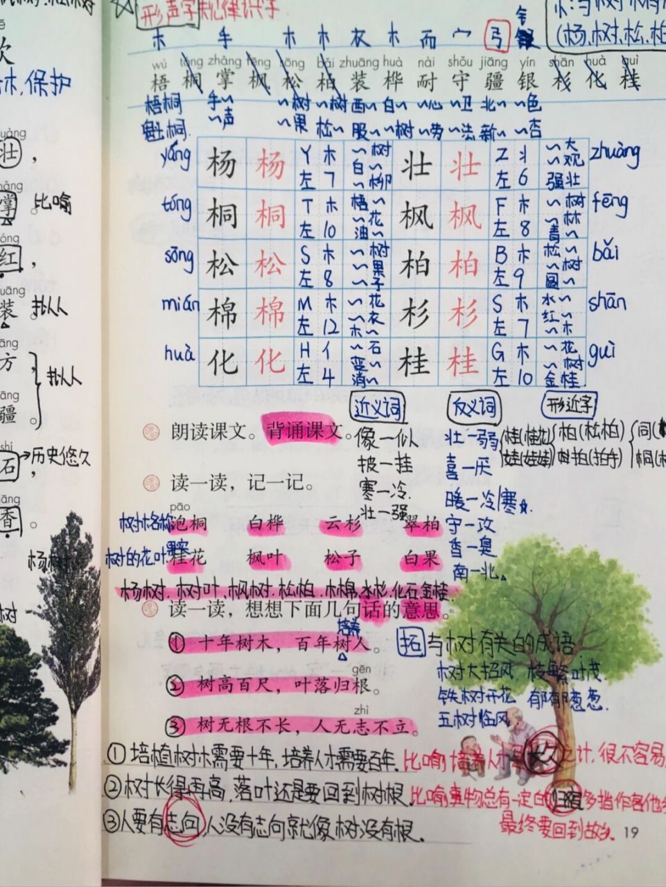 二上语文《树之歌》