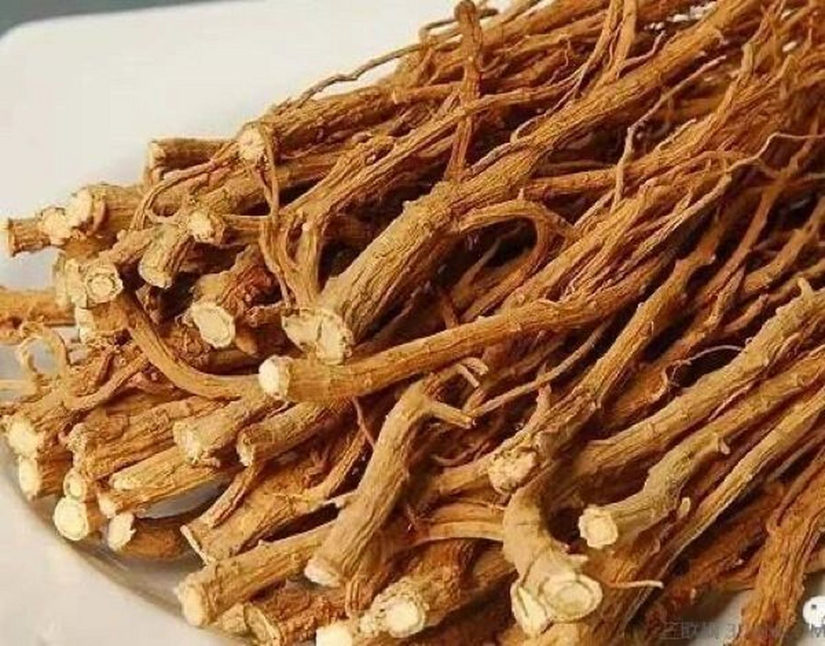 每日认识一味中药-银柴胡 银柴胡 别名银胡,银夏柴胡,牛肚根,沙参儿