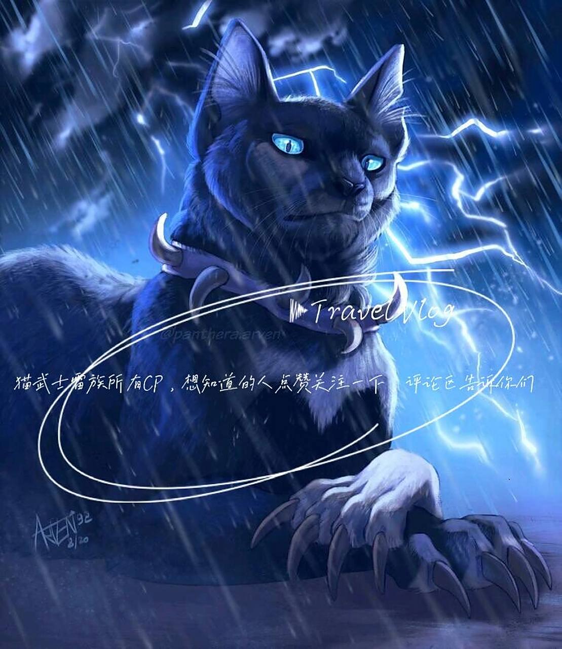 none 猫武士雷族所有cp