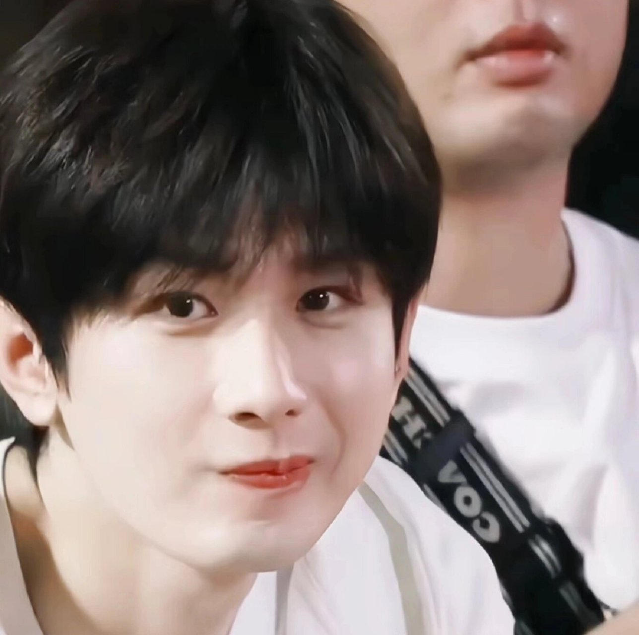 成毅可爱头像 自取.