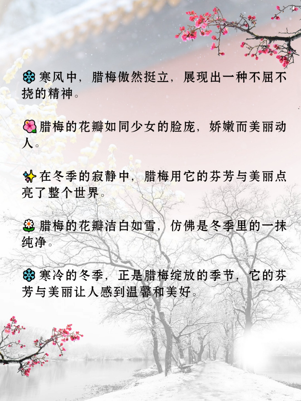 腊梅花花语精神图片