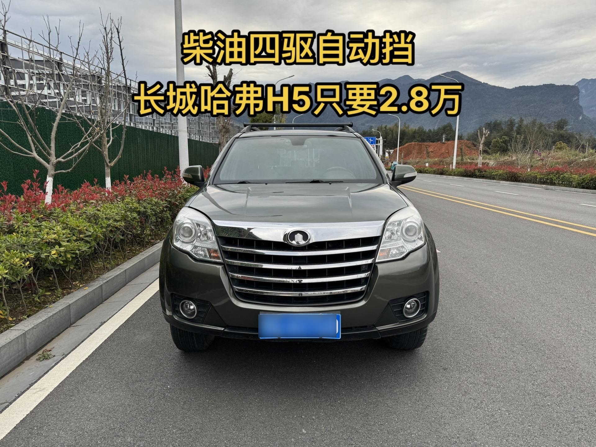 哈佛h5柴油自动2.0图片