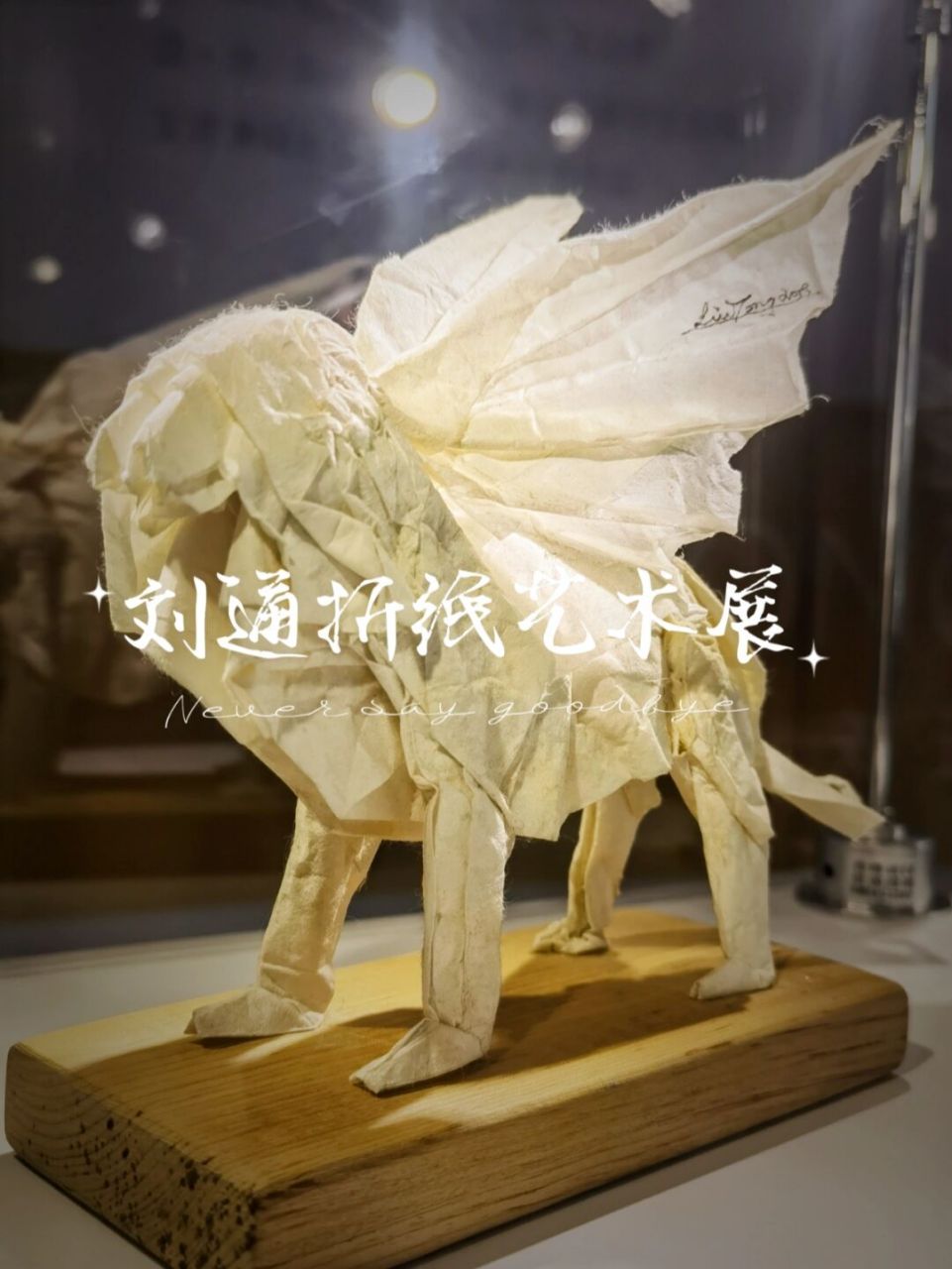 郑州看展|刘通折纸艺术展|中绘61集云筑 跟着nice来看展啦～ 95