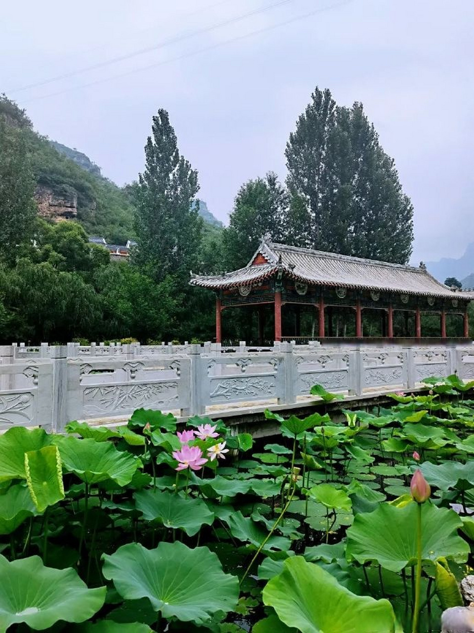 夏日避暑好去处# 悠悠白云,潺潺溪流 走入保定顺平享水溪 在山水之间