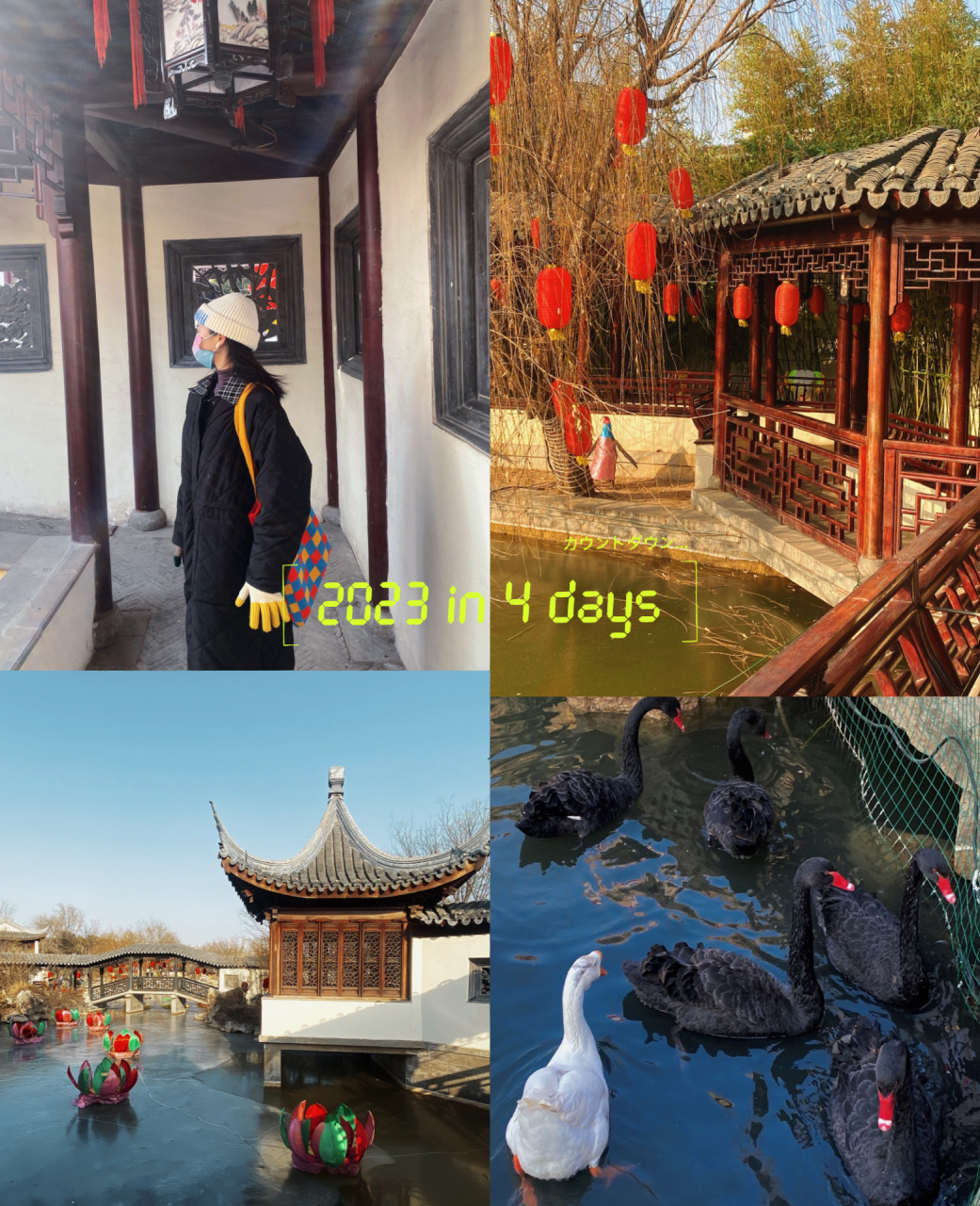 临清宛园4a景区 门票99:成人票/45元 儿童票/20元 门口对面9315