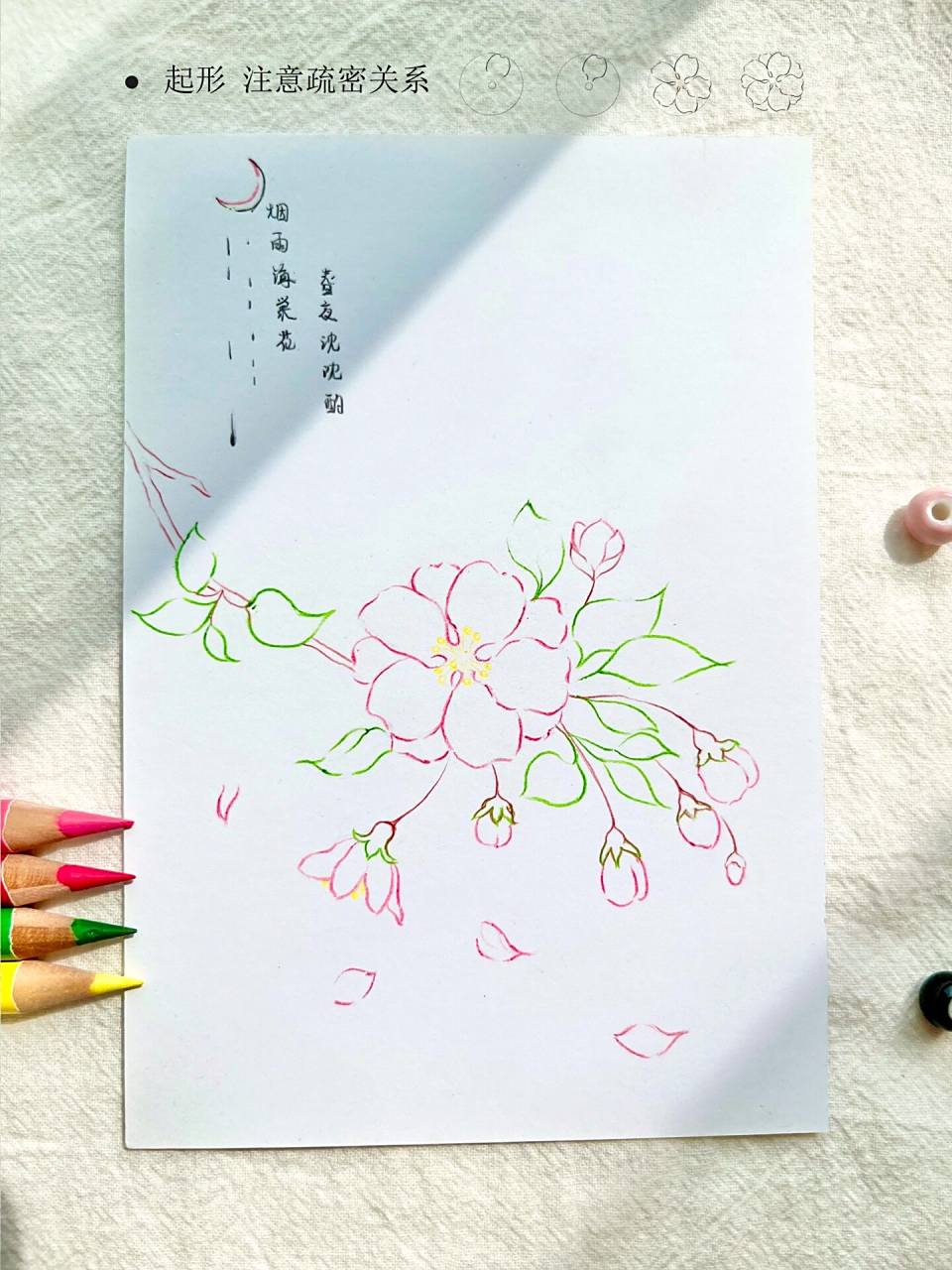 海棠花彩铅绘画步骤图 烟雨海棠花,春夜沈沈酌 一幅很简单的小画,20