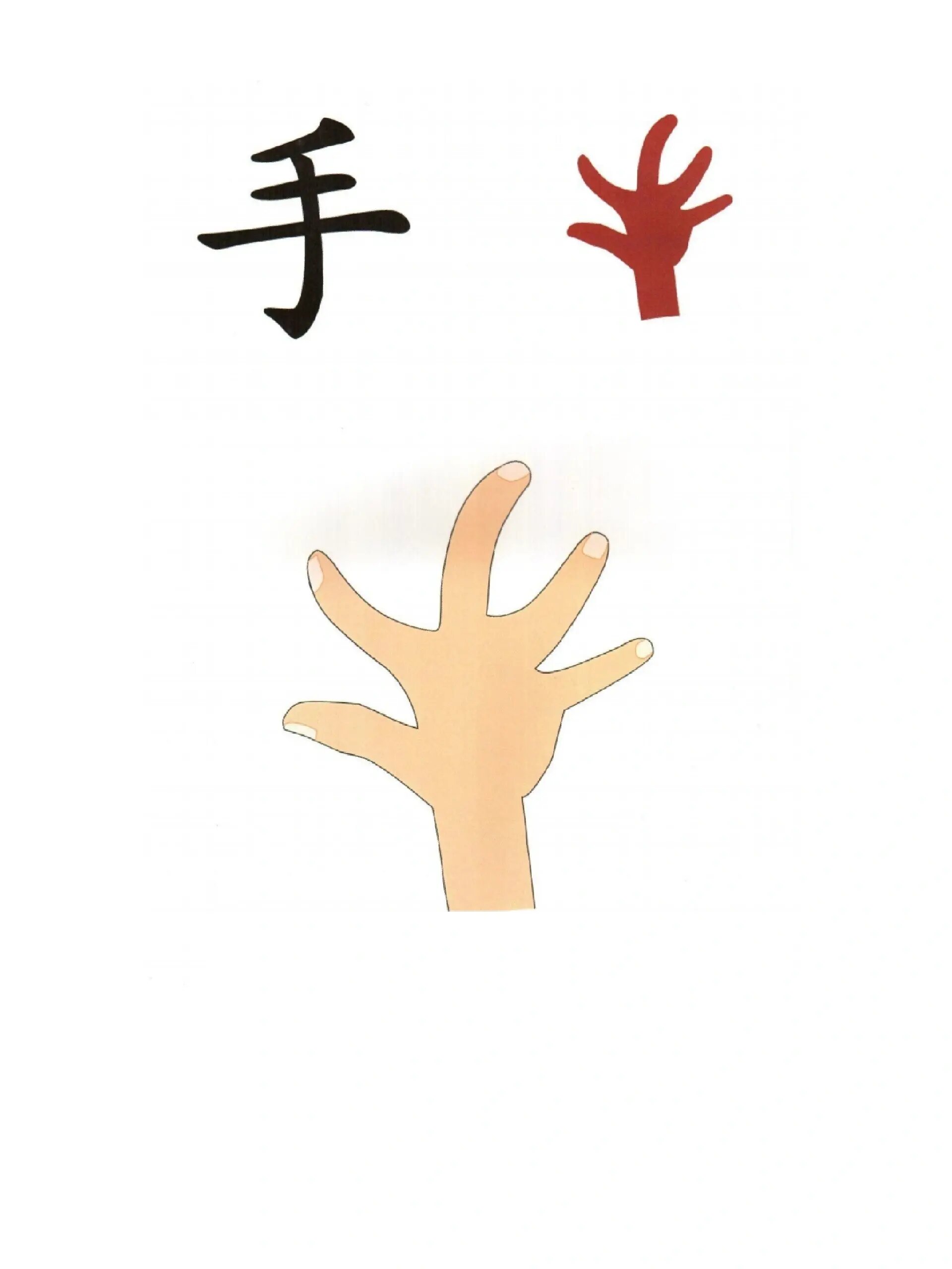 97超火的象形字识字图片‖适合初学识字宝