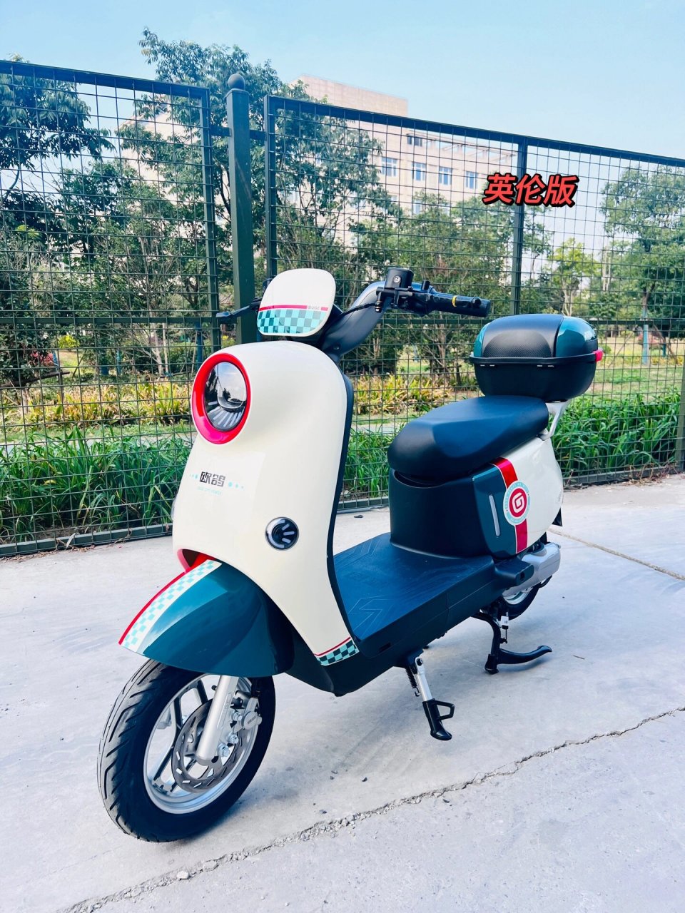 双碟 特价小龟王 2299 现货现货     62jia