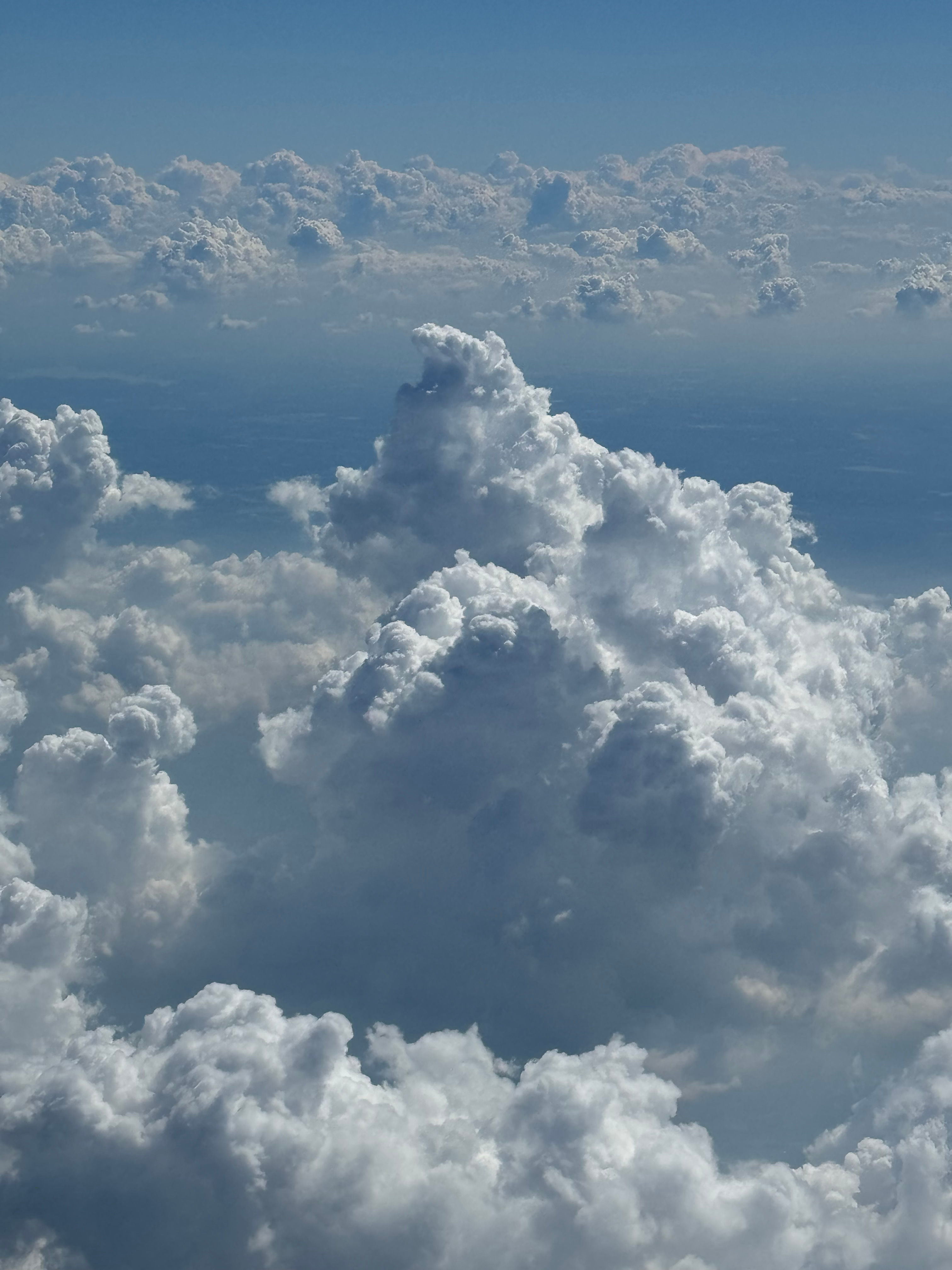 啧啧啧,上海怎么能热成这个样子