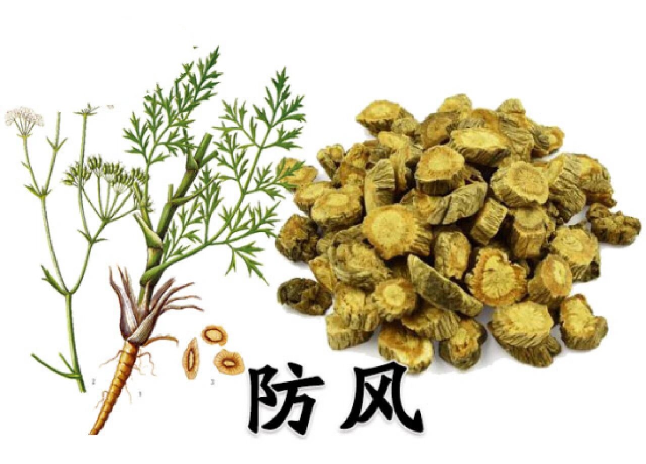 祛风解表,胜湿止痛,止痒 防风是一种中药,一般具有祛风解表,胜湿止痛