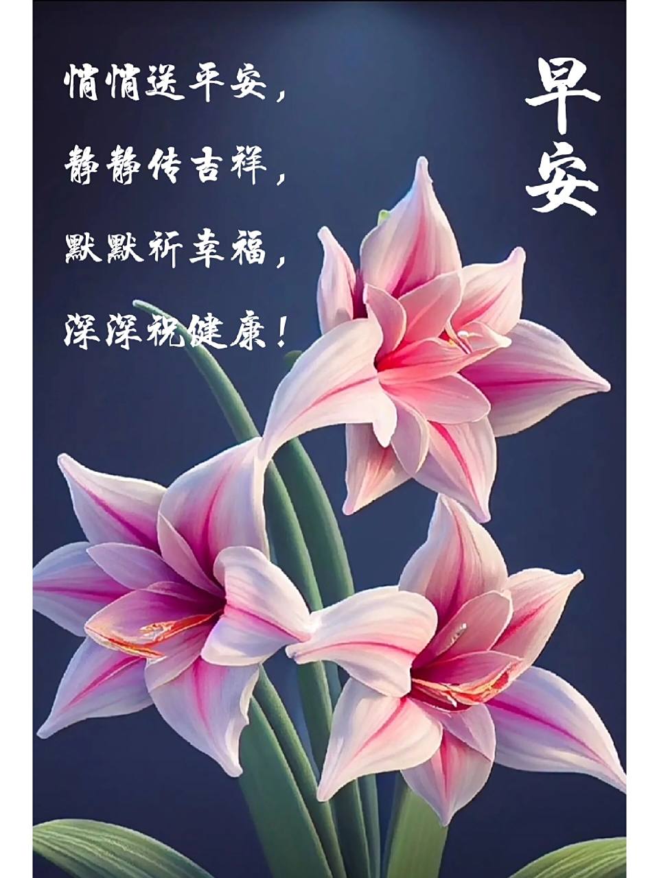 早上好 悄悄送平安, 静静传吉祥, 默默祈幸福, 深深祝健康!