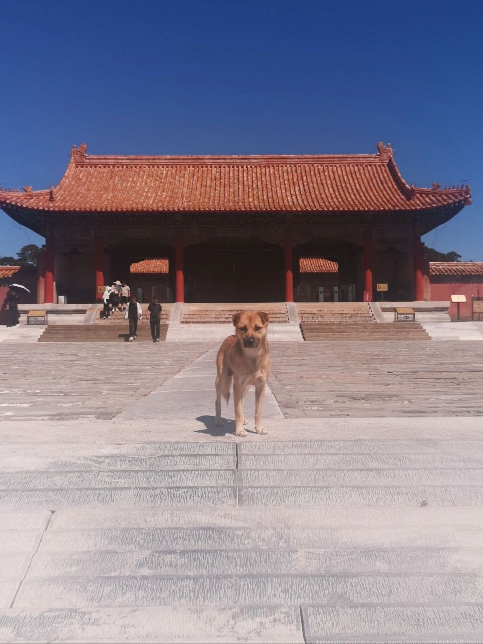 清西陵自驾游导航建议 清陵位于河北保定易县梁各庄西15公里处的永宁