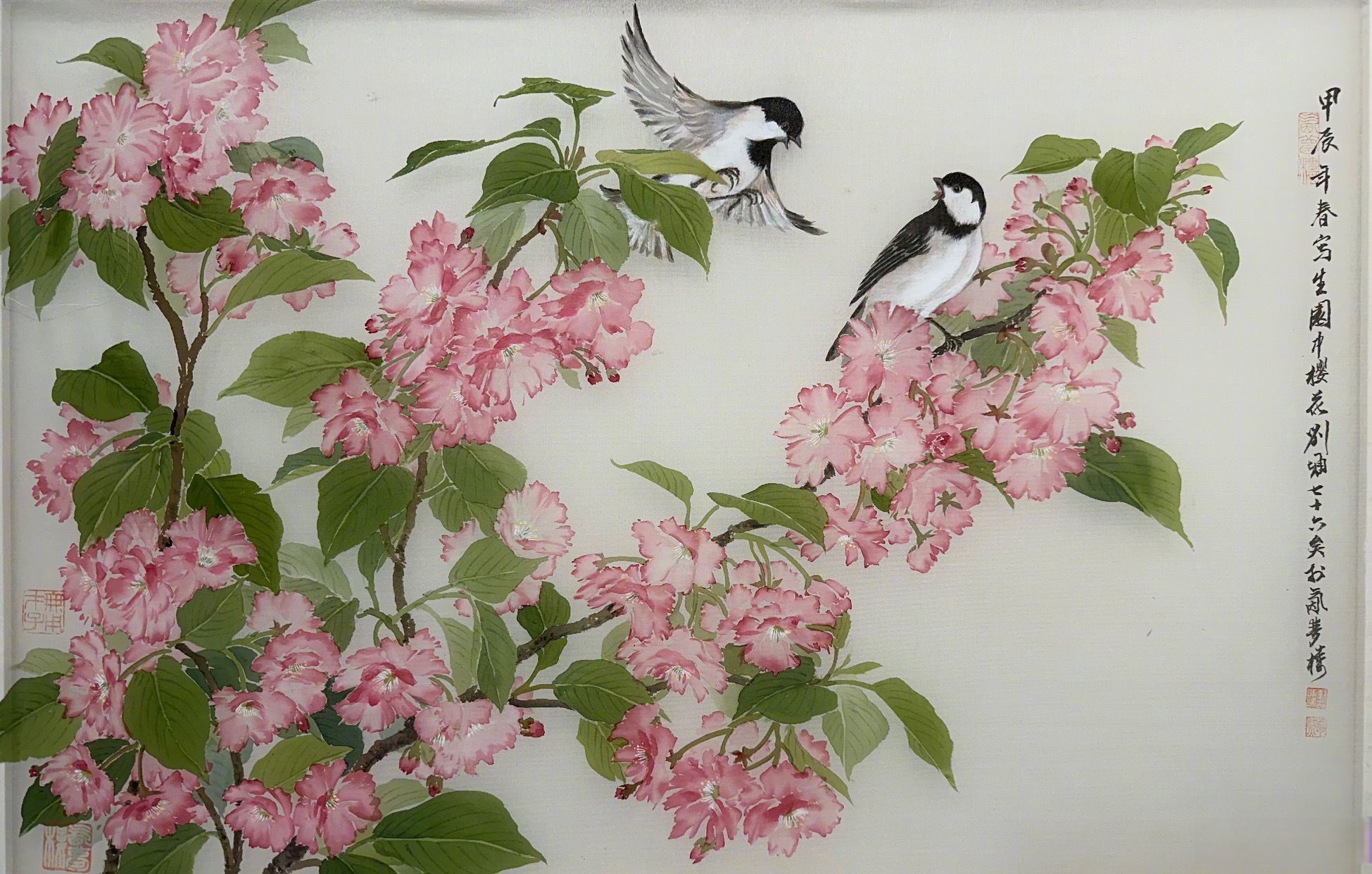 21号回到家,撑着时差写生正盛放的樱花,七天下来画了十几张铅笔写生