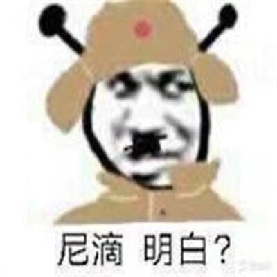表情包之太君系列