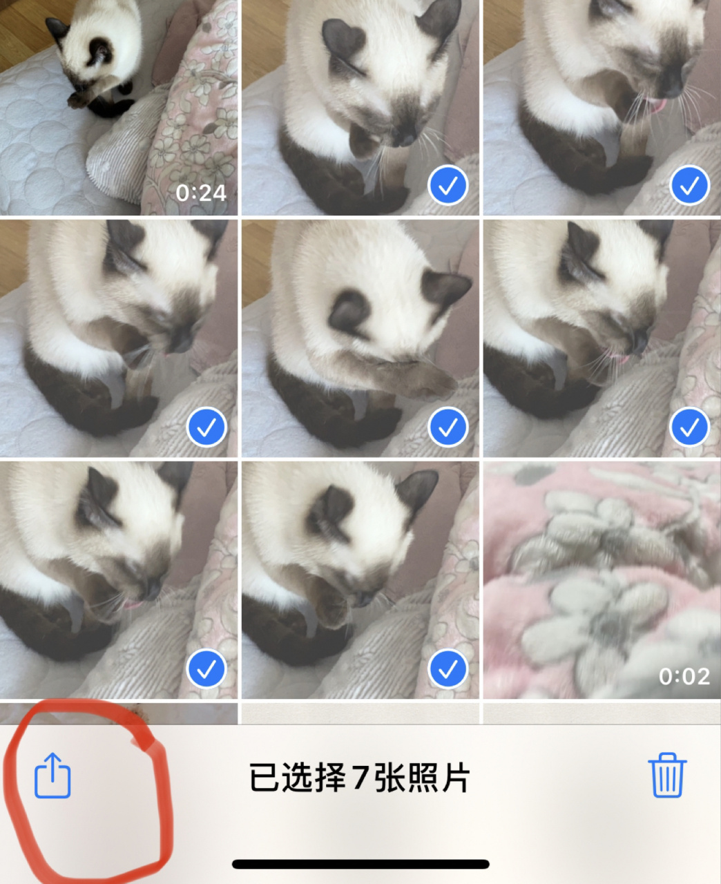 手把手教你用苹果手机压缩照片 上次我发怎么用苹果手机压缩文件之后