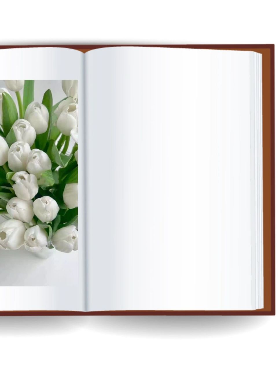 98自制书本底图 | 朋友圈晒单图 分享一组原创晒单底图 	 需要原图