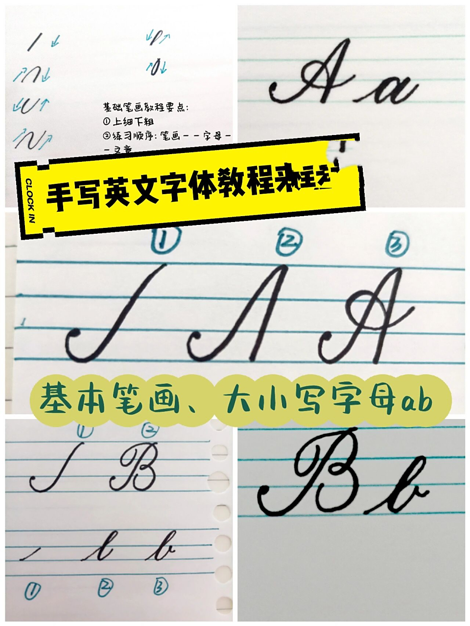 有手就会的手写英文字体教程来啦!