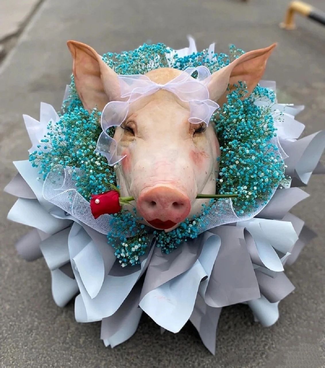 情人节创意花束98 搞笑情人节花束 情人节花束