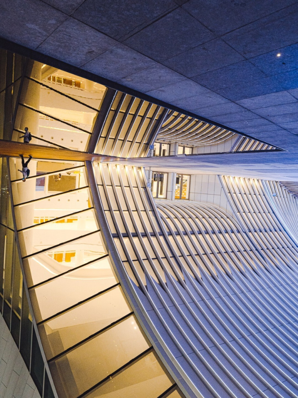 深圳新地标•光明之眼🏙 光明文化艺术中心来啦 深圳新晋地标之一