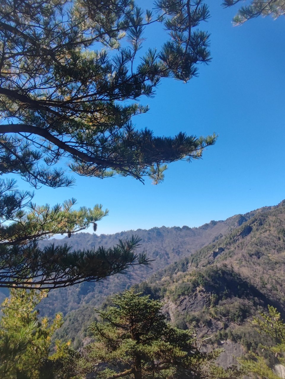 朱雀国家森林公园 朱雀国家森林公园为秦岭终南山帝一高峰,被誉为秦岭