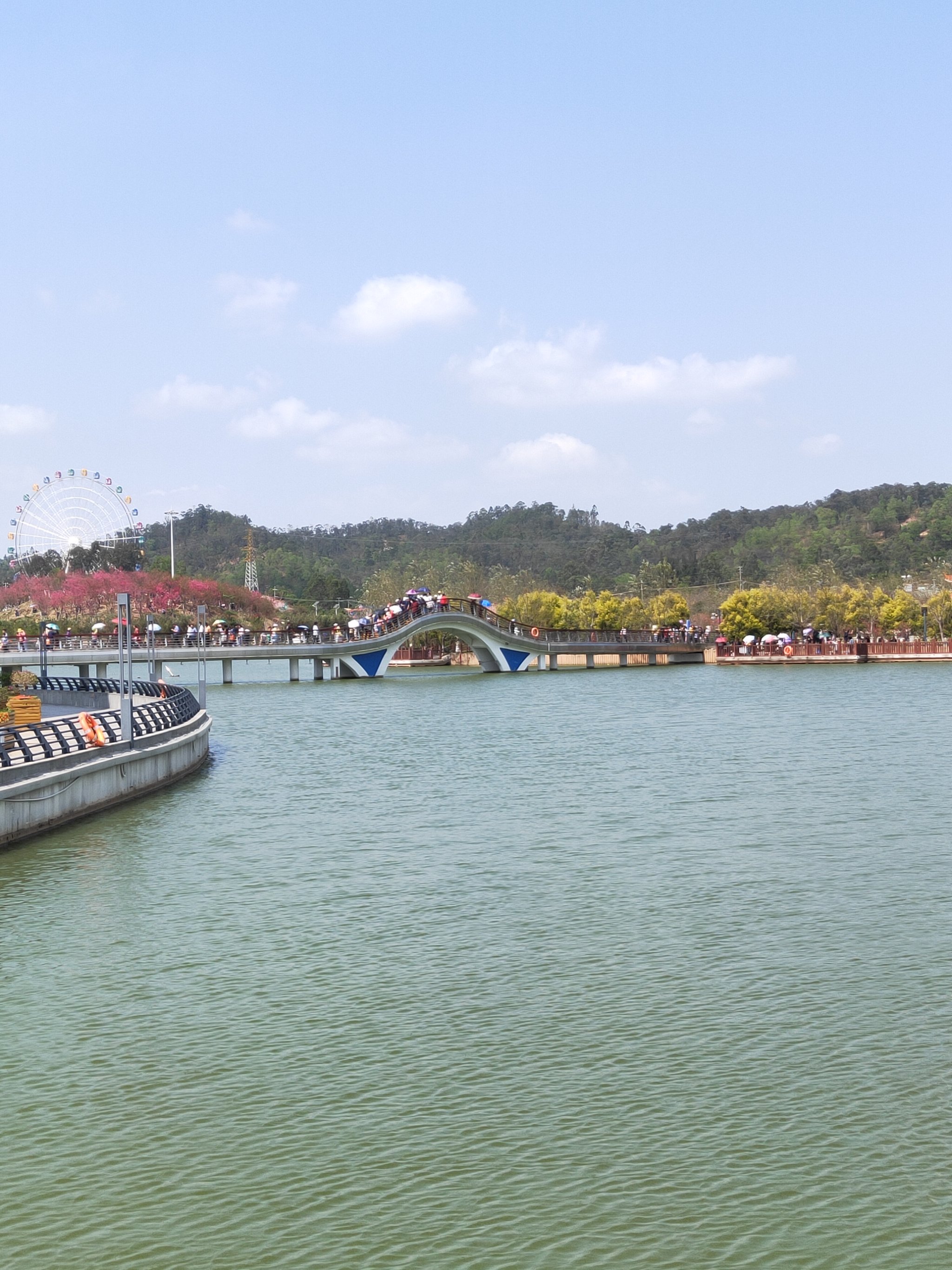 「廉江市」「樱花公园」2022年的植树节