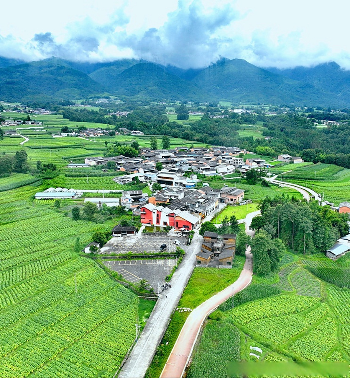 乡村振兴看腾冲# 【云南腾冲界头镇:"手抄纸"描绘幸福生活】"手抄纸"