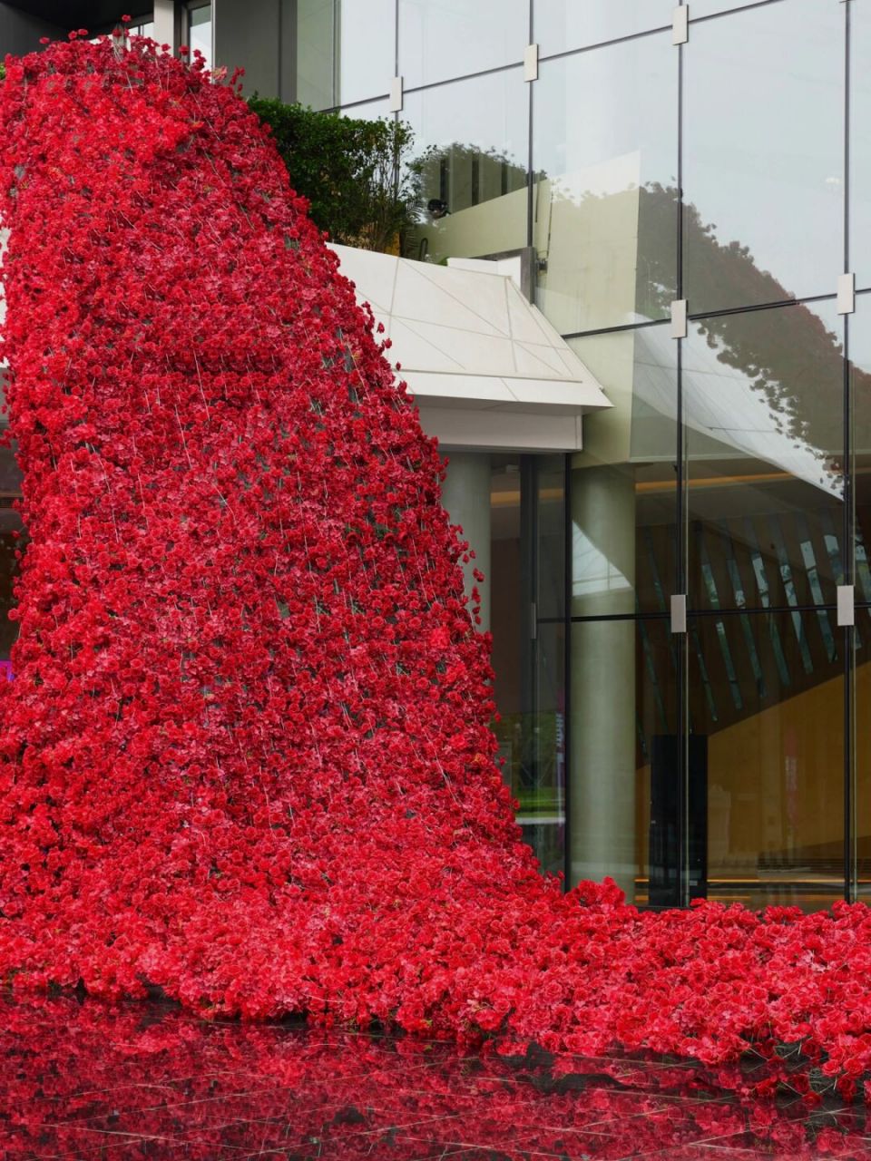 成都又赢麻了,首个巨型玫瑰花瀑布95太震撼 成都是懂浪漫的 一整栋