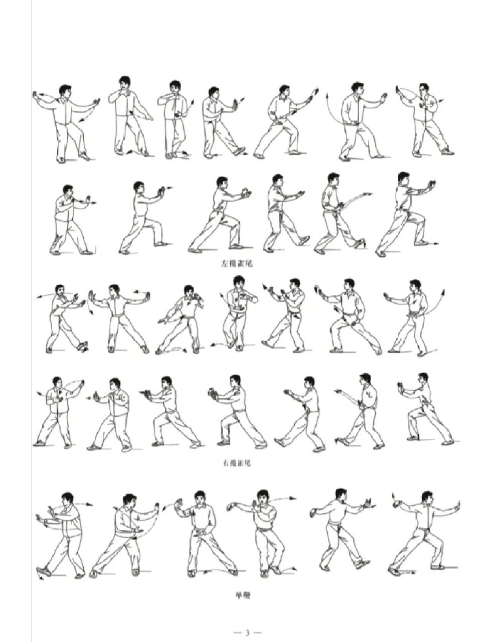 1,起式2,左右野马分鬃3,白鹤亮翅4,左右搂膝拗步5,手挥琵琶6,左右倒