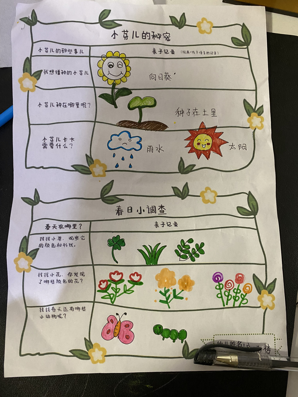 幼儿园的春日小调查,小芽儿的秘密 小班,有识字打卡,调查表记录.