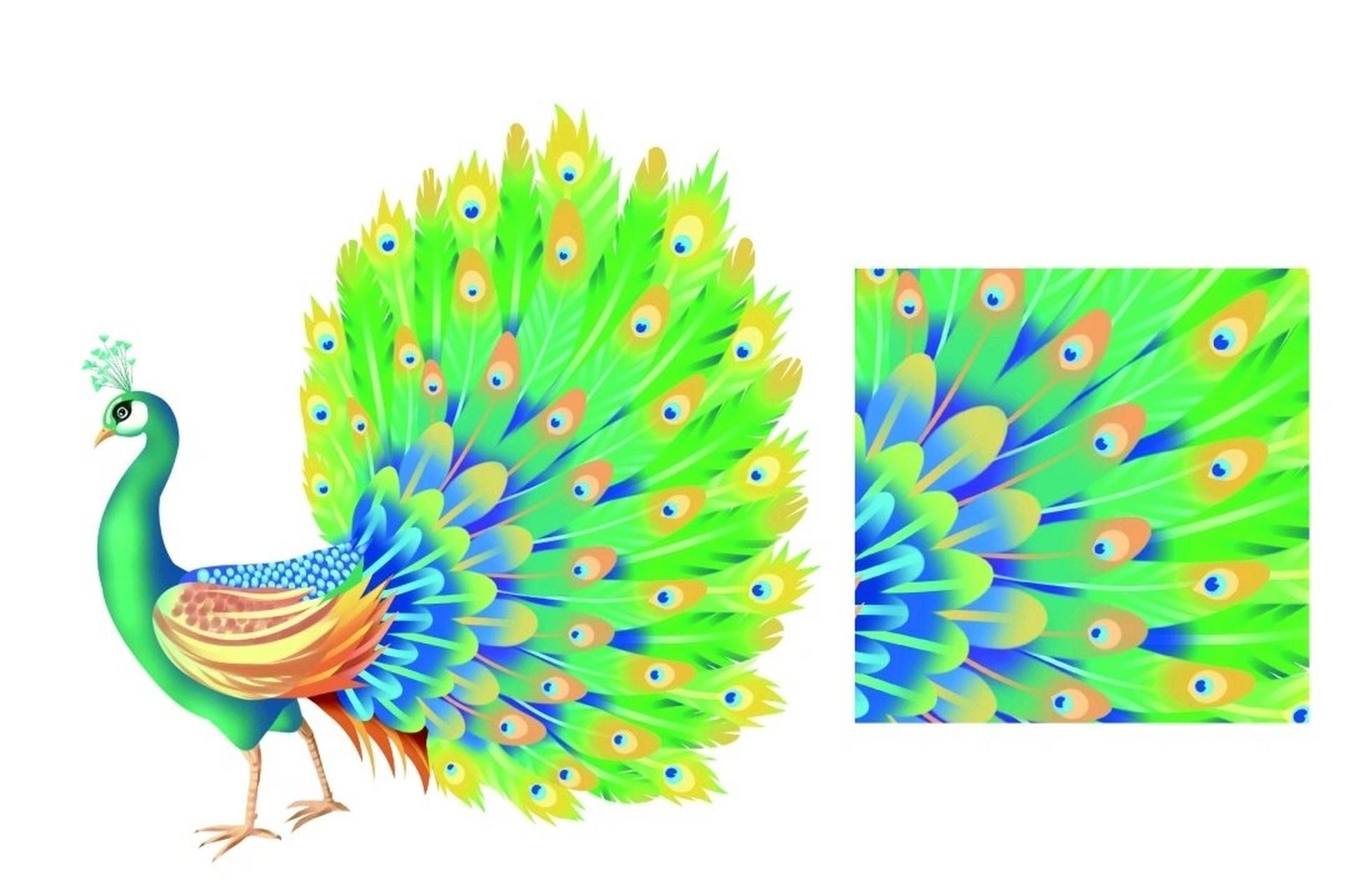 小班科学《动物花花衣》素材