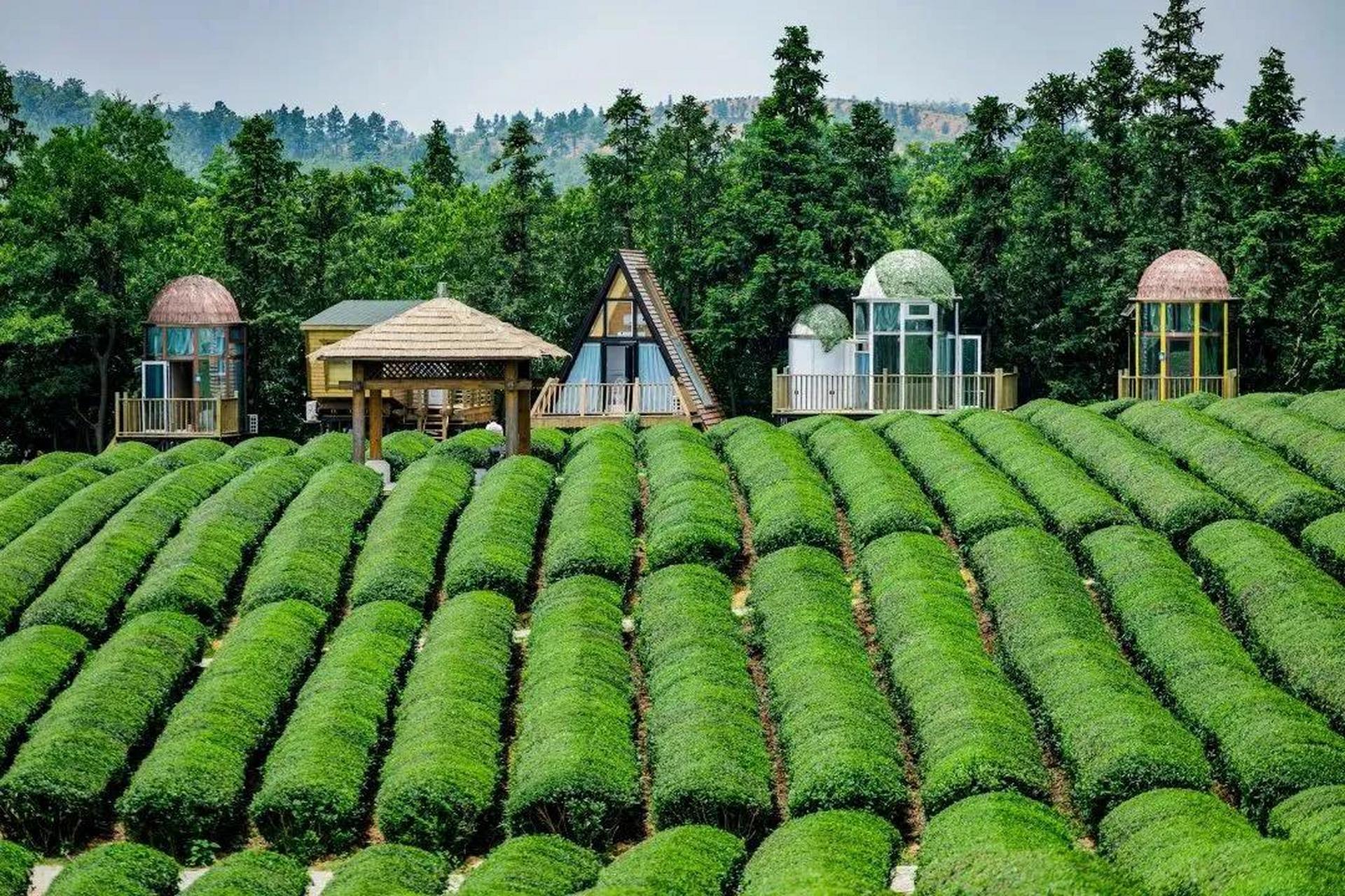 东湖公园波潋滟,水梦南湖景如诗.  芜湖湾沚区,一个美丽的园林城市.