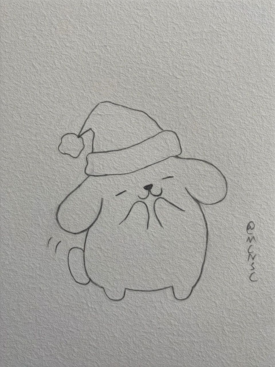 捉到一只圣诞小布丁/简笔画教程 今天又来分享布丁狗教程啦 	 超级好