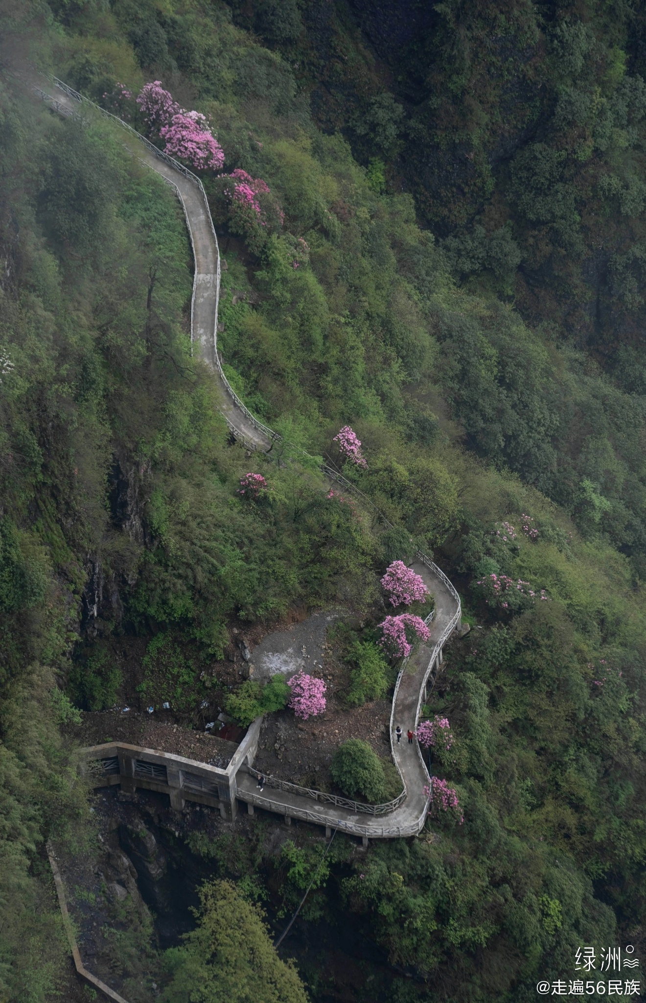 荥经桌山和瓦屋山图片