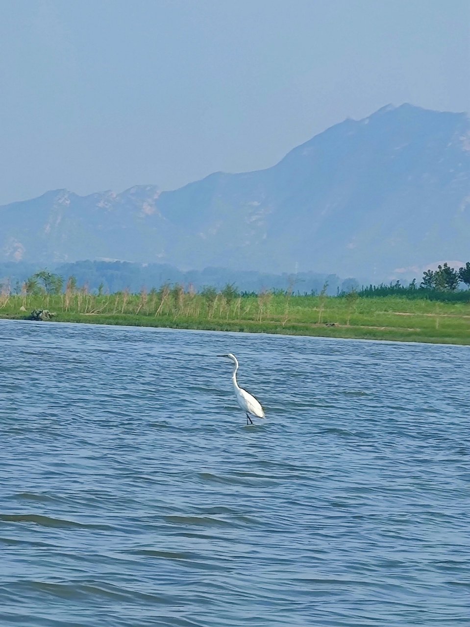 黄壁庄水库 可免费钓鱼 露营 烧烤 抓螃蟹, 位置在黄壁庄水库边 西王