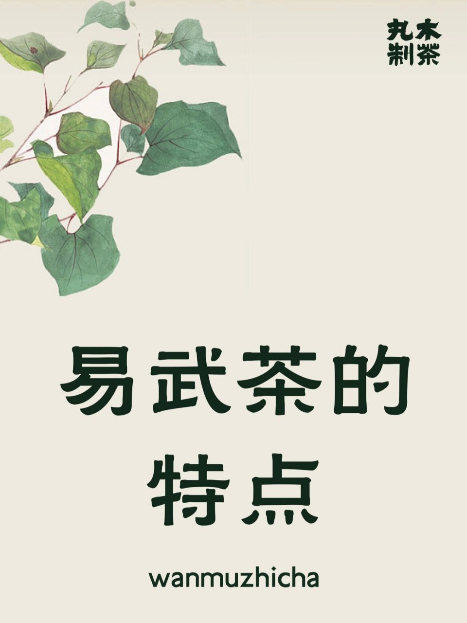 易武茶的特点 9595 	 易武古树普洱茶: 易武普洱茶是产于云南易武