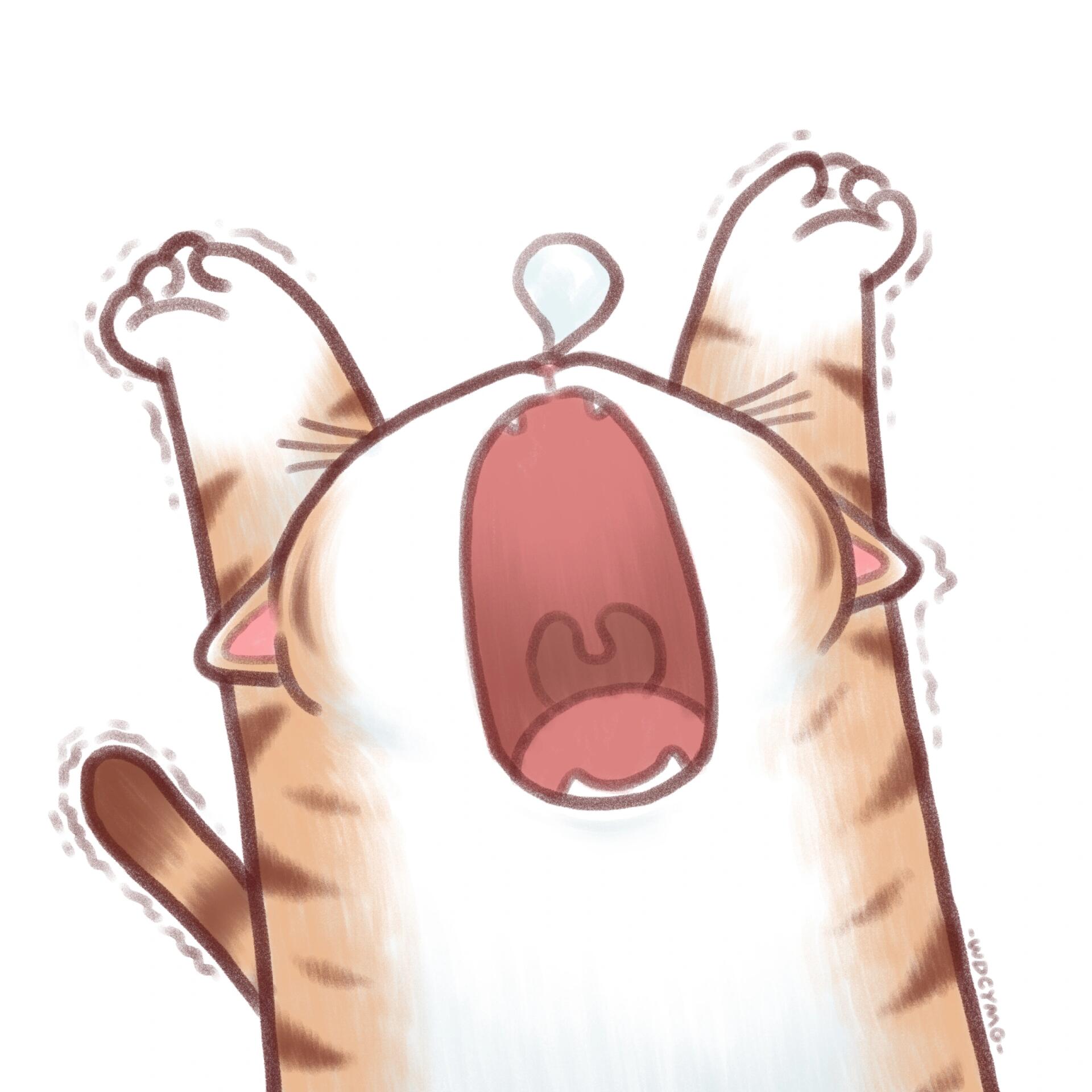 伸懒腰的猫咪