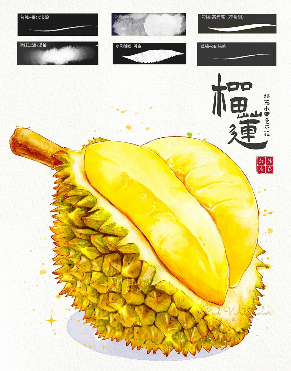 ipad水彩|66615步画一个榴莲!