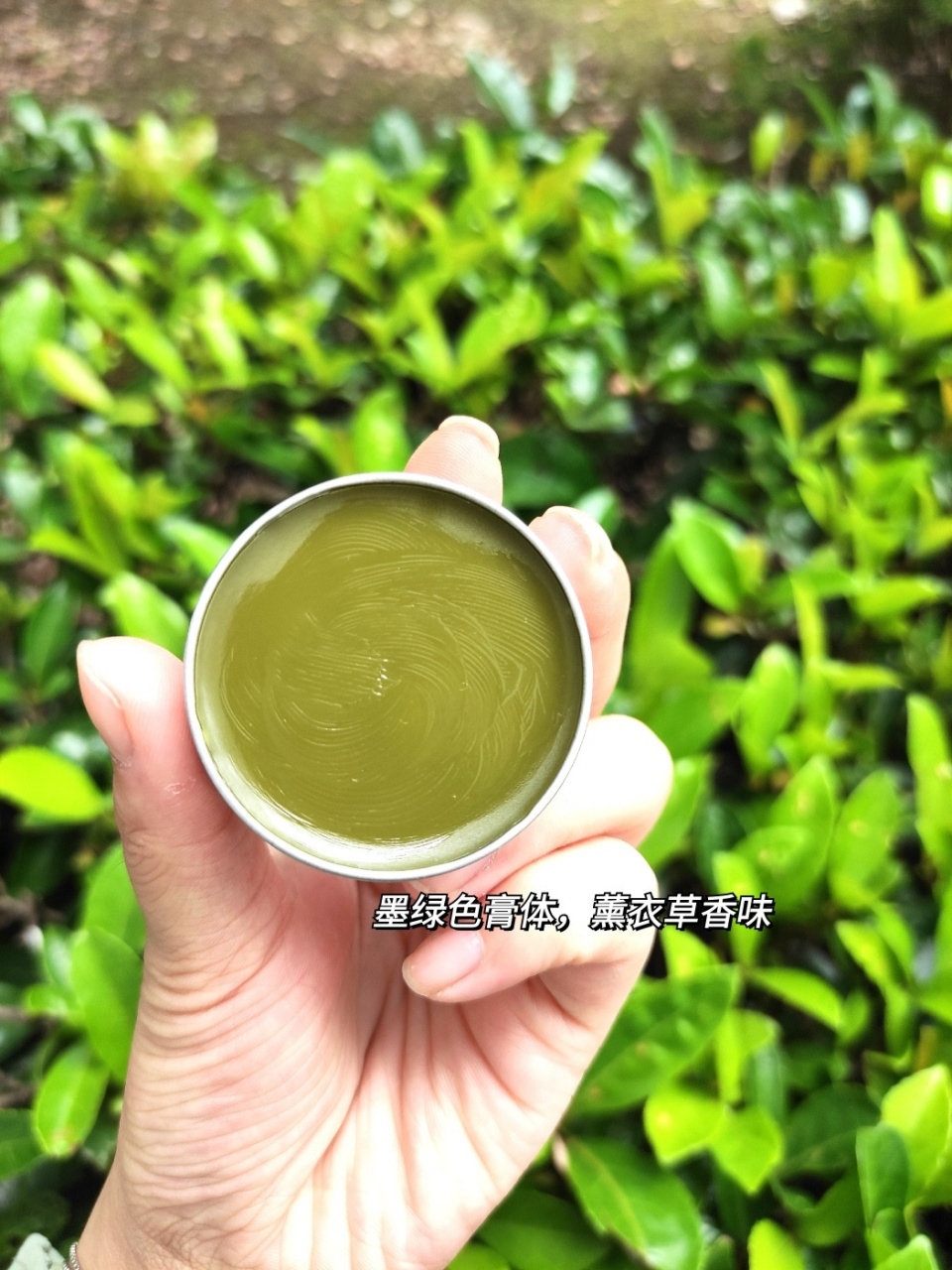 到了夏天不知不觉蚊子也变得好多,而且我很招蚊子01 每次都被叮的