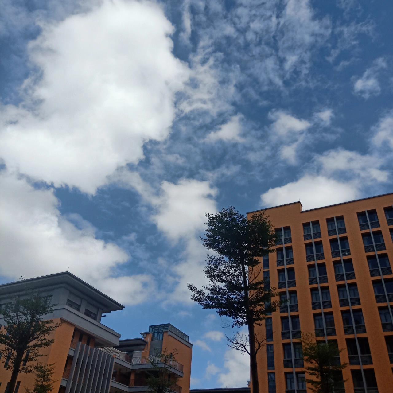 我是2021年专插本英专生,校区是广东科技学院松山湖校区(其实在石排
