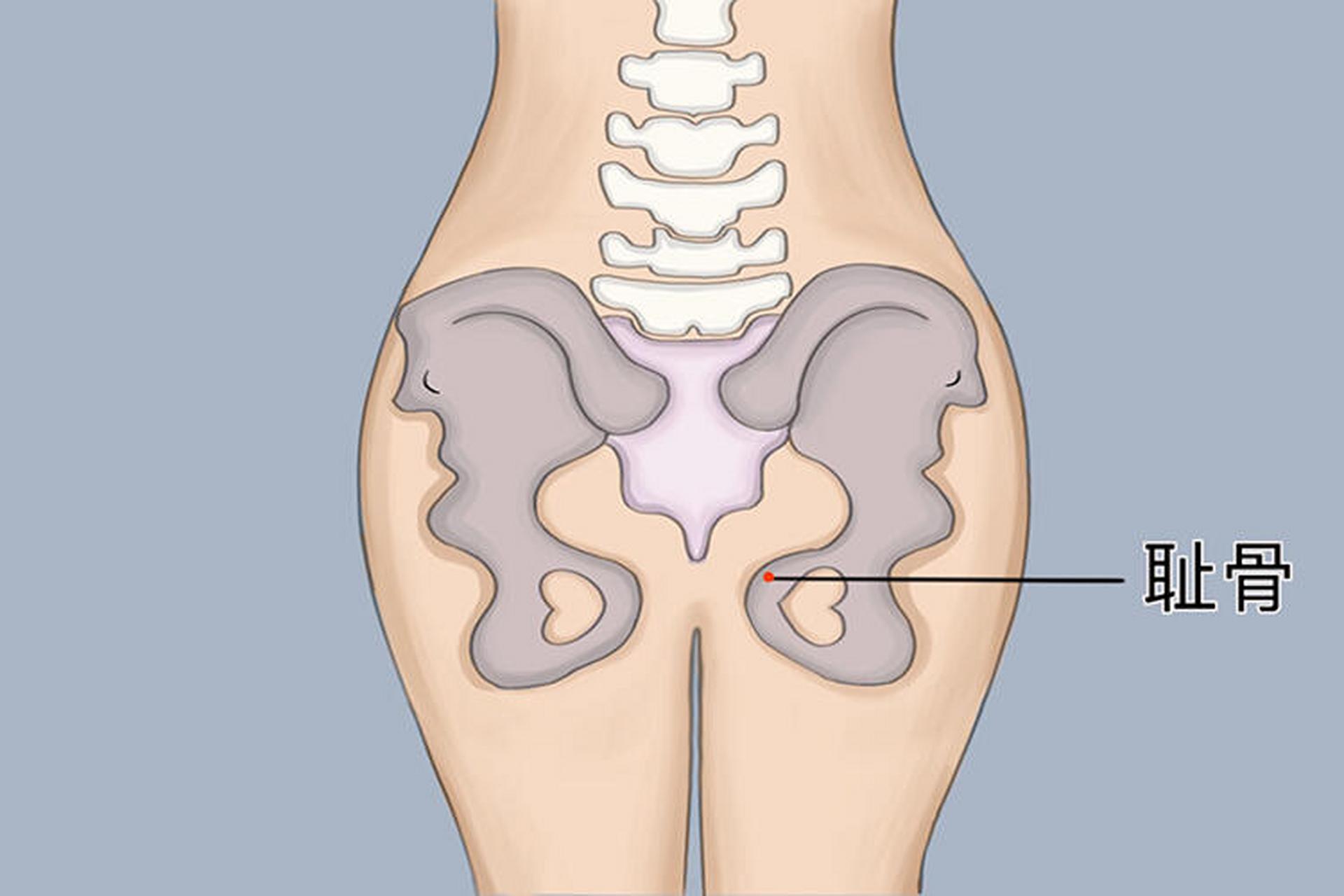 98耻骨及相关部位易出现耻骨炎,耻骨联合分离症等相关疾病,若出现