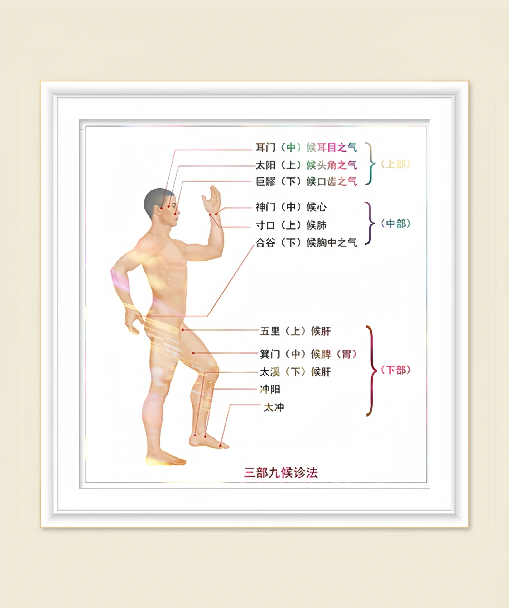 三部九候诊法示意图图片