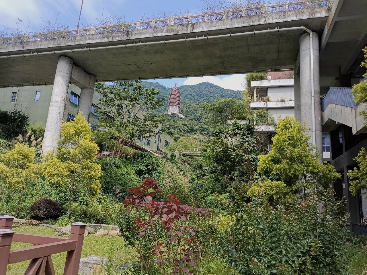深圳弘法寺的本焕长老舍利塔 作为深圳仙湖植物园深处最有名的弘法寺