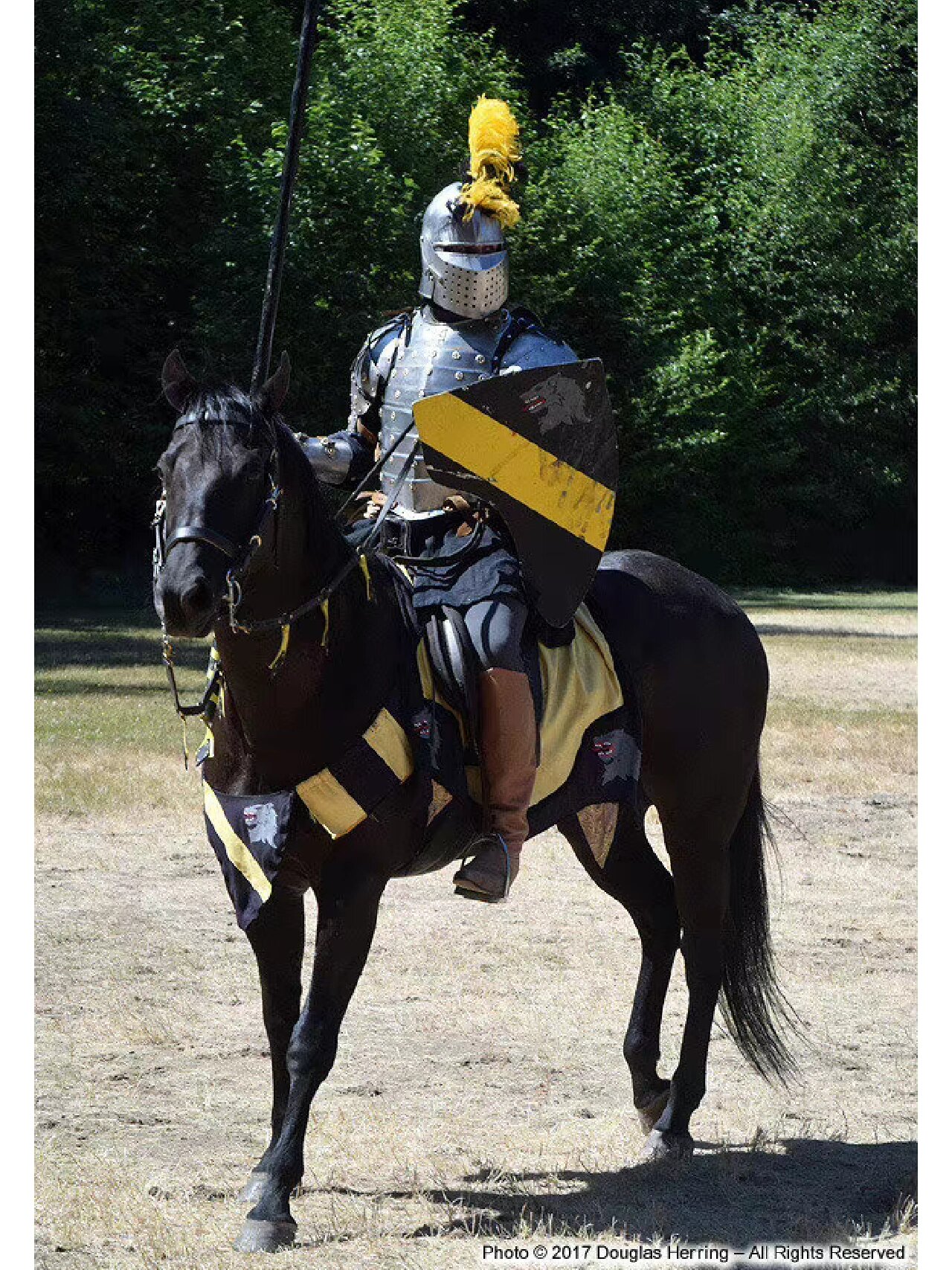 骑士|骑马人物动态绘画素材参考审美提升