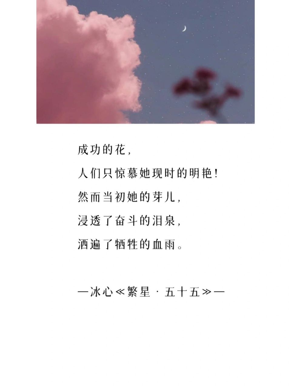 冰心写的成功的花图片