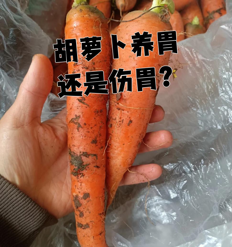 萝卜为什么会苦 萝卜为什么会苦