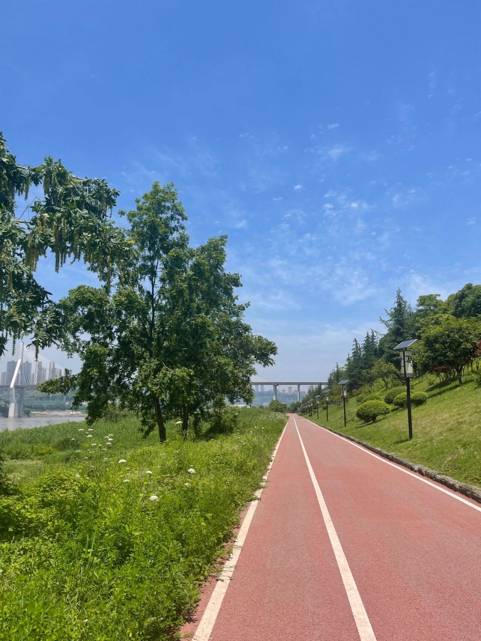 重庆可以租骑自行车的公园推荐04 地址:巴滨路湿地公园 导航和停车